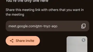 Google Meet screenshot 15