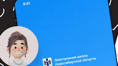 Дневник Новосибирской области screenshot 4