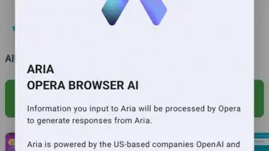 Opera Browser screenshot 22