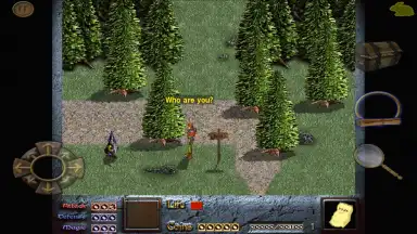 Dink Smallwood HD screenshot 8