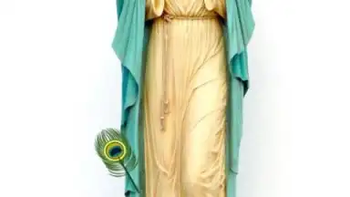 Virgin Mary screenshot 3