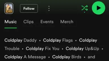 Spotify screenshot 28