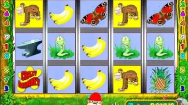 Crazy monkey slot screenshot 6