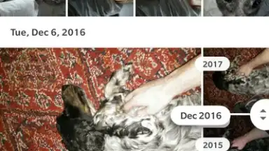 Google Photos screenshot 4