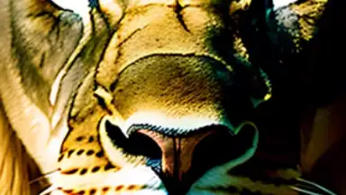 CreArt screenshot 6