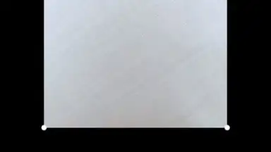 HedgeCam 2 screenshot 3