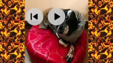iShot Video Editor screenshot 4