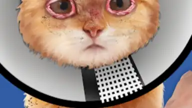 Cat ASMR: Salon Makeover screenshot 3