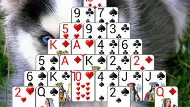 250+ Solitaire Collection screenshot 8