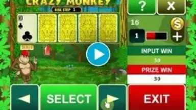 Crazy Monkey Slot Machine screenshot 1