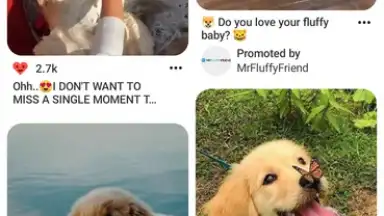 Pinterest screenshot 3