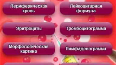 Analyses screenshot 3