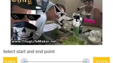 Video and GIF Memes screenshot 6