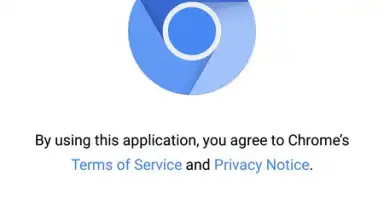 NoChromo screenshot 1