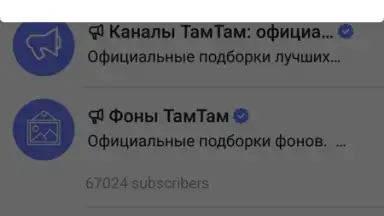 TamTam Messenger screenshot 2