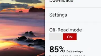 Opera Browser screenshot 14