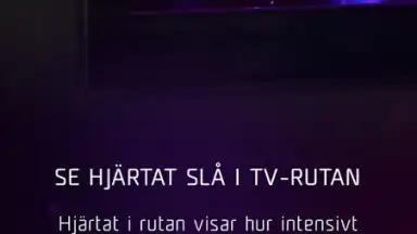 Melodifestivalen screenshot 3