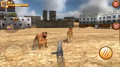 HomelessCat screenshot 2