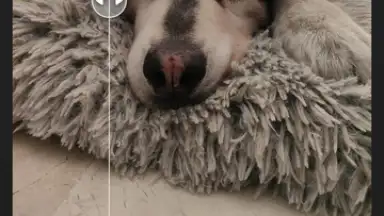 Wink screenshot 1