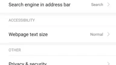 Mint Browser screenshot 8