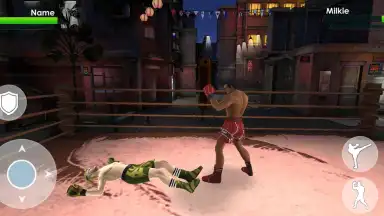 Tag Team Boxing screenshot 2