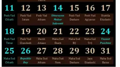 Gujarati Calendar 2014 screenshot 2
