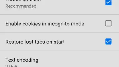 CN Browser screenshot 3