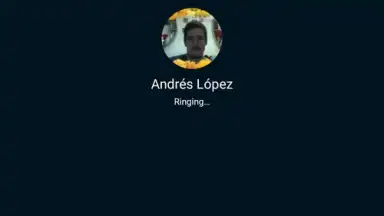 Skype Lite screenshot 12