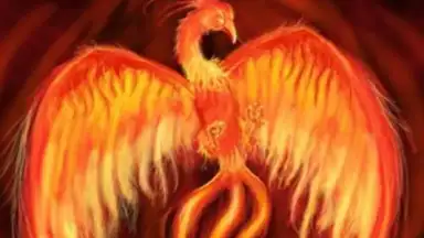 Phoenix screenshot 2
