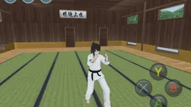 HSS 2019 Preview screenshot 14