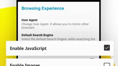 Private Browser screenshot 2