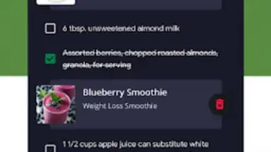 Diet Smoothie Recipes screenshot 2