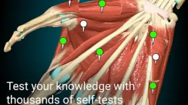 3D Anatomy Learning screenshot 3