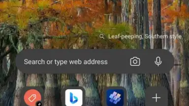 Microsoft Edge Dev screenshot 1