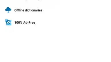 Reverso Translation Dictionary screenshot 2