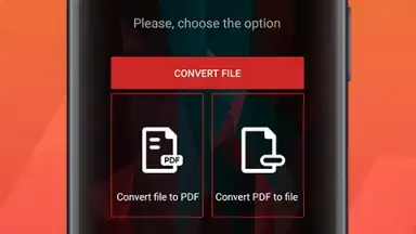 PDF Conversion Tool screenshot 8