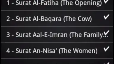 BanglaQuran screenshot 5