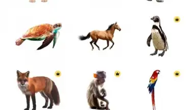 Bazaart screenshot 7