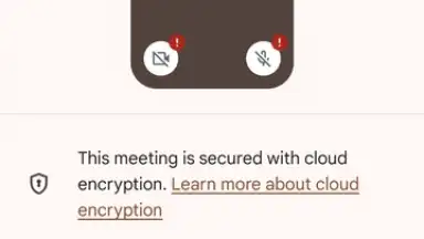 Google Meet screenshot 16