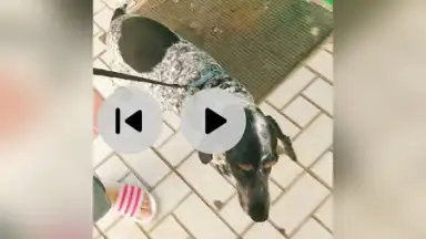 iShot Video Editor screenshot 2