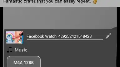 Stellar Browser screenshot 2