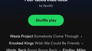 Spotify Lite screenshot 8