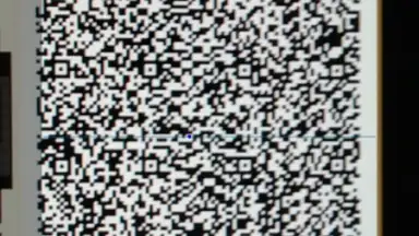 QR Code Scanner screenshot 2