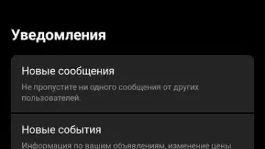 Дром screenshot 12