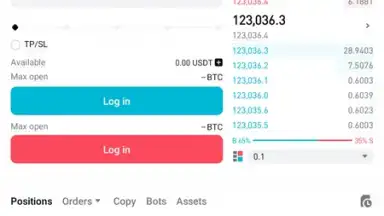 Bitget screenshot 29
