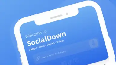 SocialDown: no watermark screenshot 2