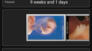 Pregnancy Assistant screenshot 3