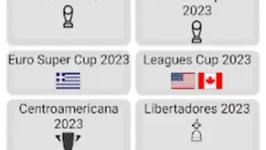 World Football Simulator screenshot 14