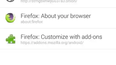 Orfox: Tor Browser screenshot 5