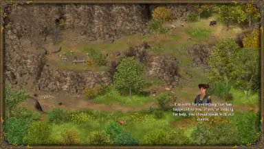 Hero of the Kingdom III screenshot 4
